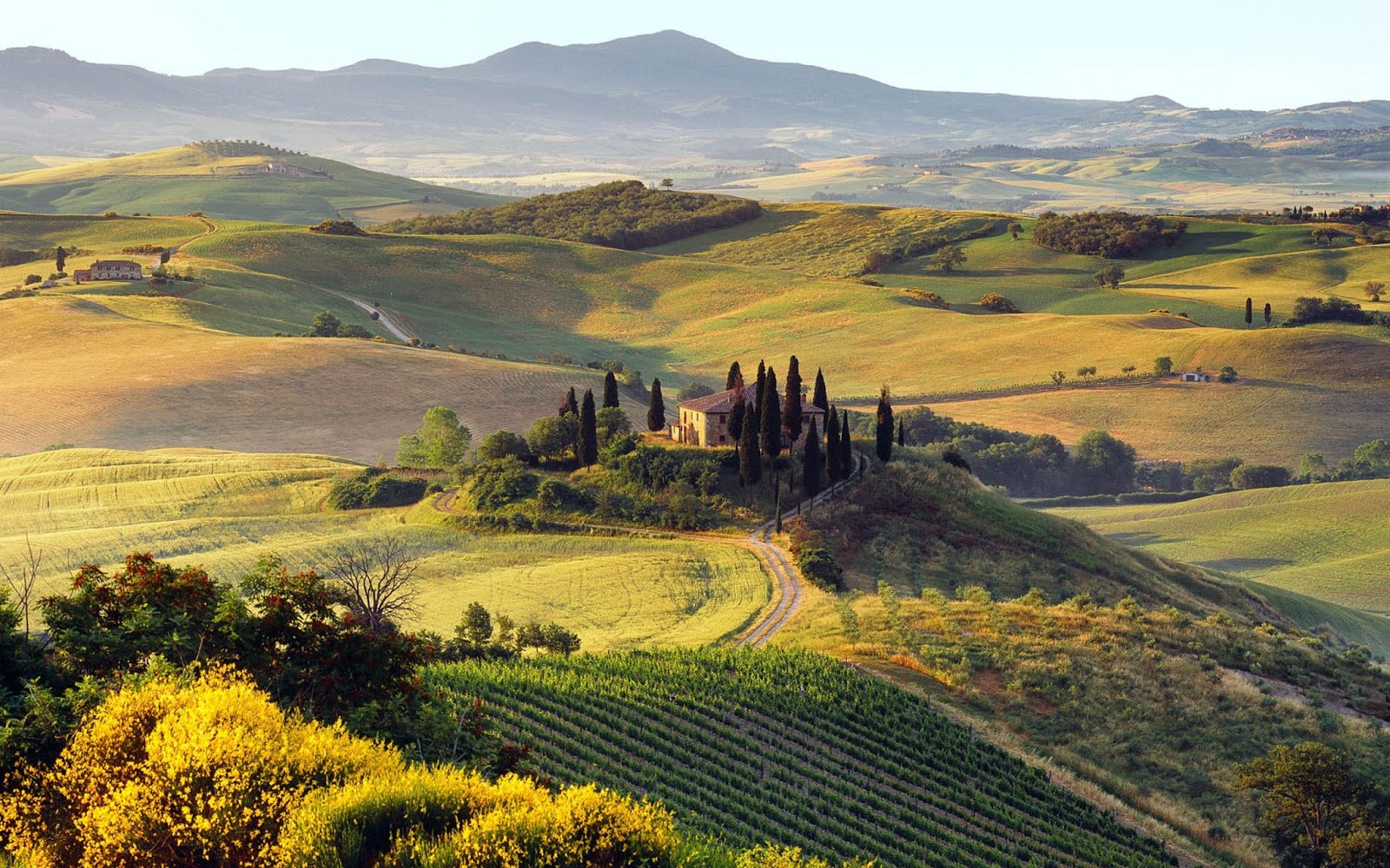 Tuscany “thiên đường” đẹp như tranh vẽ khiến du khách say đắm