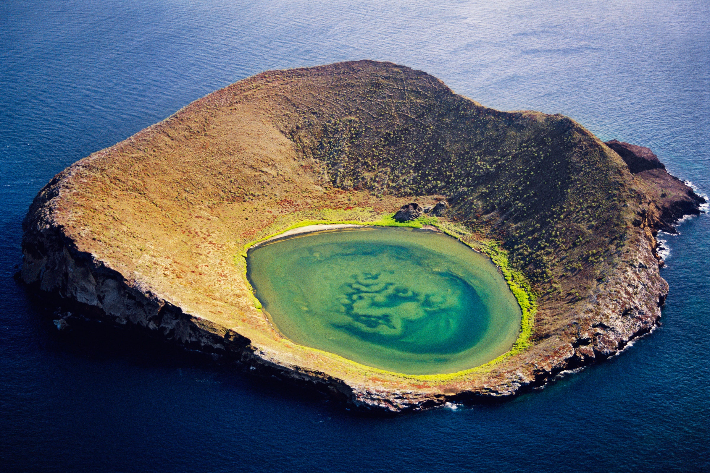 Khám phá quần đảo Galapagos dành cho những ai yêu thích sinh vật